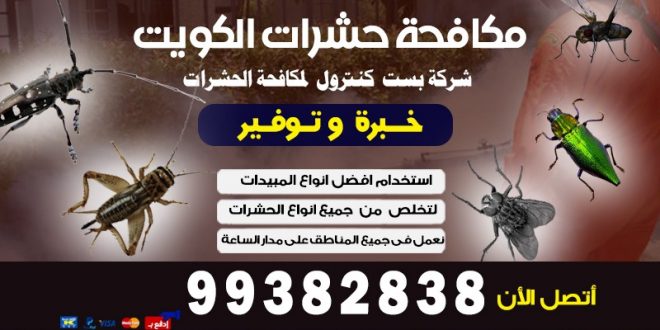 خدمات مكافحة الحشرات