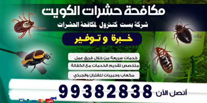 مكافحة حشرات