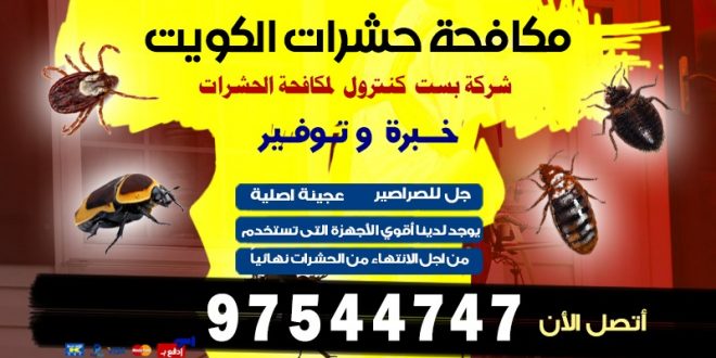 شركة بست كنترول لمكافحة الحشرات