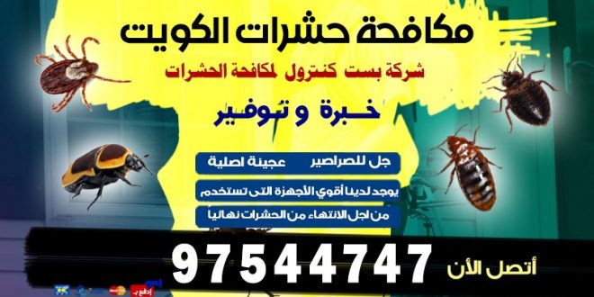 مكافحة حشرات الفنطاس