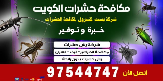 مكافحة حشرات المنقف