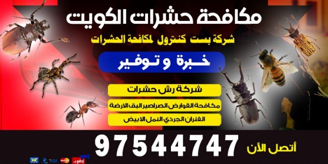 مكافحة حشرات الشاليهات