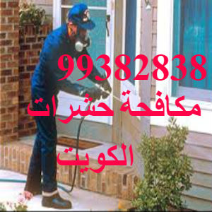 مكافحة حشرات الشاليهات