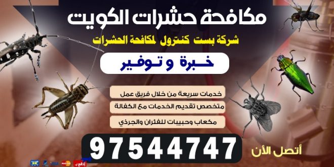 مكافحة حشرات الجهراء