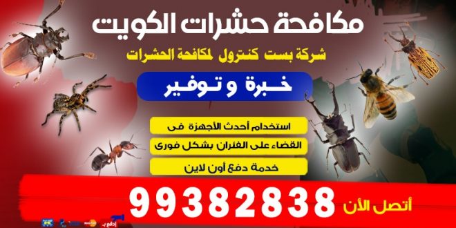 شركه مكافحه حشرات حولى بالكويت