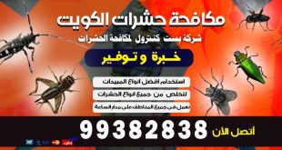 شركة مكافحة حشرات سلوى بالكويت