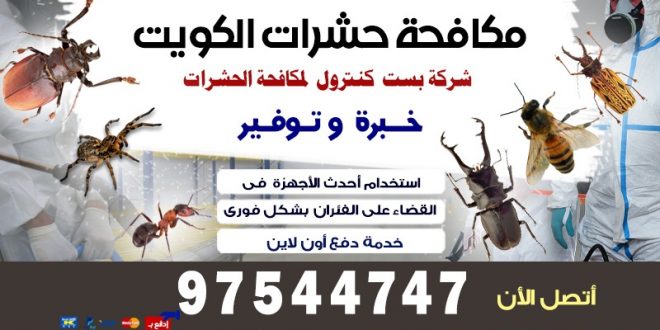 مكافحه حشرات المنزل مع الكفاله بالكويت