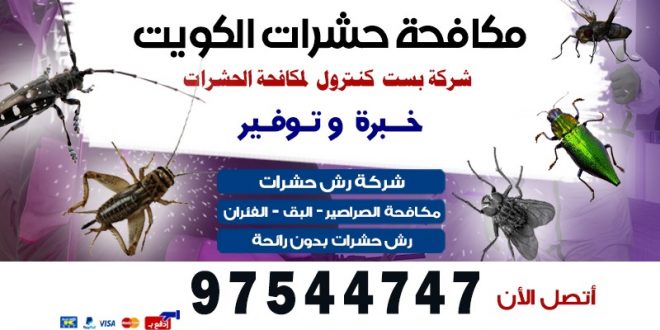 شركة مكافحة حشرات 24 ساعة بالكويت