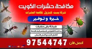 شركة مكافحة حشرات مع الكفالة بالكويت