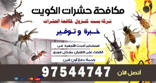 شركة رش مبيدات حشرية فى الكويت