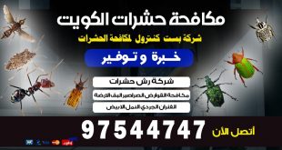 شركة مكافحة حشرات بجليب الشيوخ بالكويت