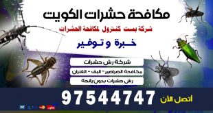 شركة مكافحة الحشرات بالرقعي بالكويت