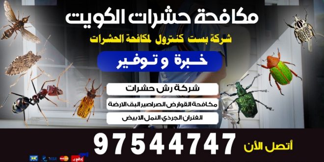 شركة مكافحة الحشرات بالجابرية بالكويت