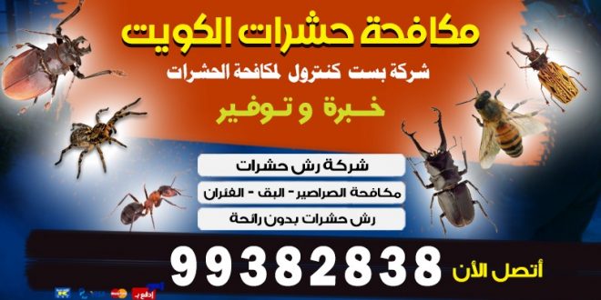 مكافحة القوارض الكويت