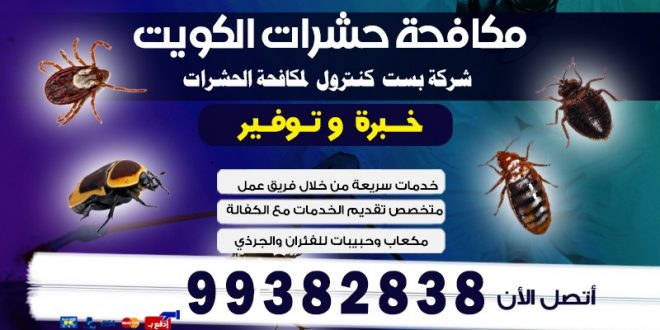 مبيدات البق شركة بست كنترول الكويت