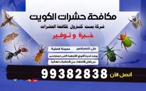 أفضل شركة مكافحة حشرات فى الكويت