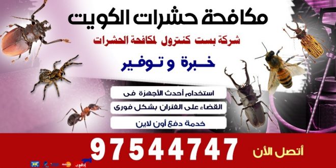 افضل حل للبعوض في الكويت 