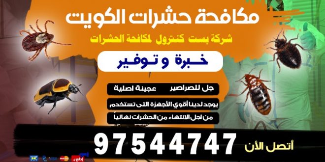 كيف تتخلص من البعوض خصوصاً ليلاً بالكويت