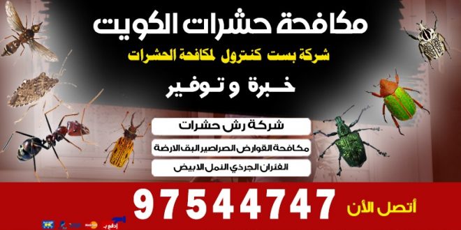 مكافحة الناموس في الكويت