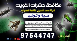 طريقة التخلص من الحشرات المنزلية بالكويت 