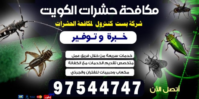 طريقة التخلص من الحشرات المنزلية بالكويت