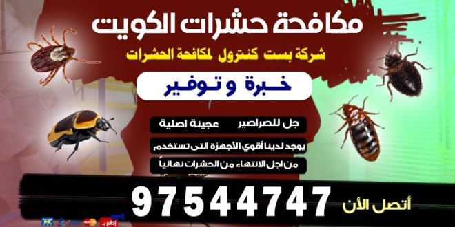 كيف أطرد البعوض من المنزل بالكويت 