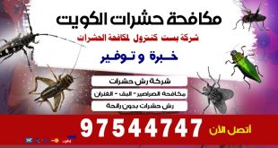  التخلص من الحشرات المنزلية في الكويت 