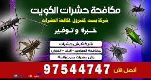 أفضل مبيد للنمل الابيض في الكويت