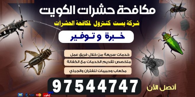 مكافحة الجرذان في الكويت