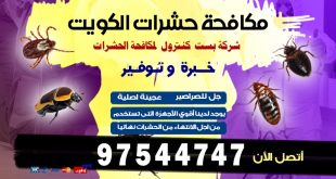 مكافحة عثة الملابس في الكويت