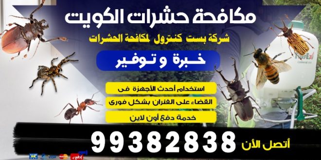 اضرار بق الفراش في الكويت