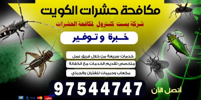 طرق فعالة للتخلص من الحشرات