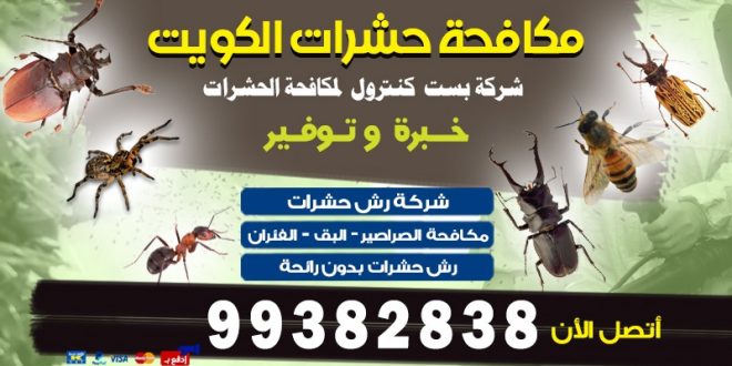 هل تبحث عن شركة مكافحة حشرات