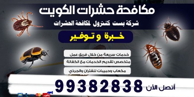 هل تعانى من وجود الحشرات