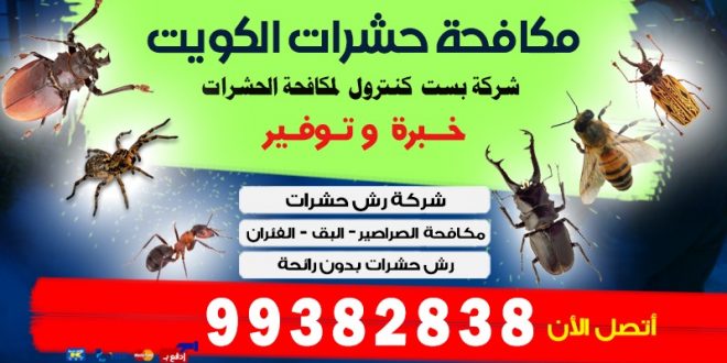 هل تحتاج شركة حشرات