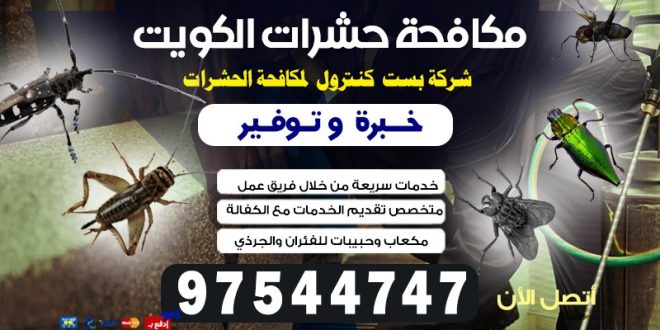 اقوى طريقة لمكافحة الحشرات بالكويت